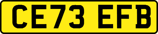 CE73EFB
