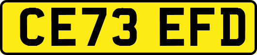 CE73EFD