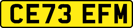 CE73EFM