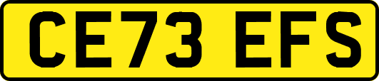 CE73EFS