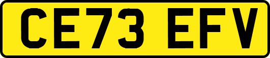 CE73EFV