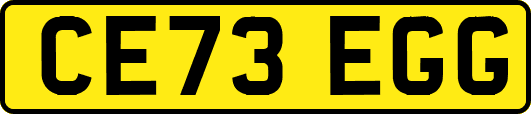 CE73EGG