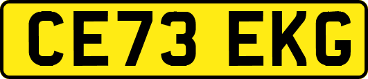 CE73EKG