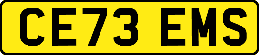 CE73EMS