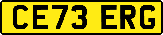 CE73ERG