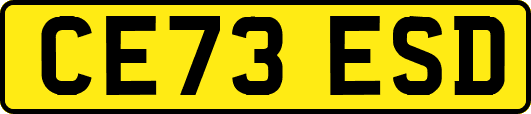 CE73ESD