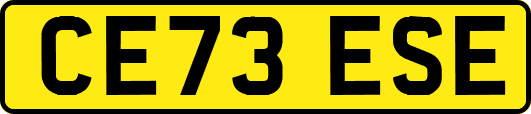 CE73ESE