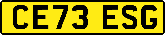 CE73ESG