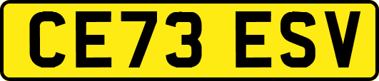 CE73ESV