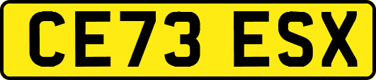 CE73ESX
