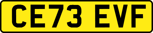 CE73EVF