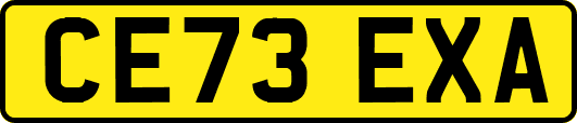 CE73EXA