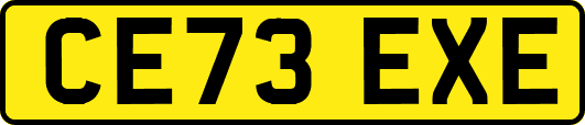 CE73EXE