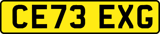 CE73EXG