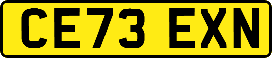 CE73EXN