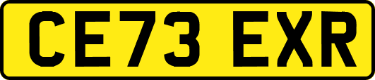 CE73EXR