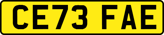 CE73FAE