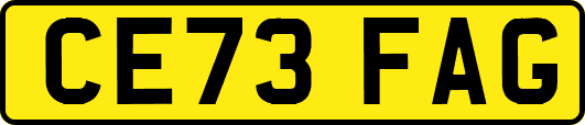 CE73FAG