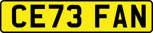 CE73FAN