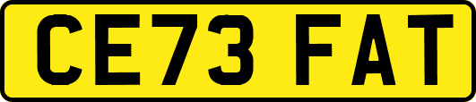 CE73FAT