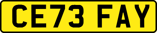 CE73FAY