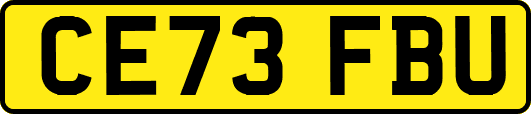 CE73FBU
