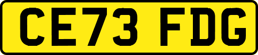CE73FDG