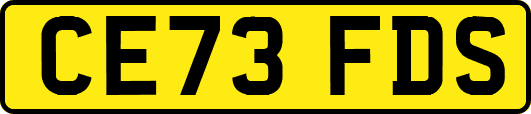 CE73FDS