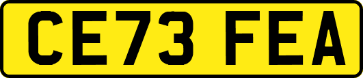 CE73FEA