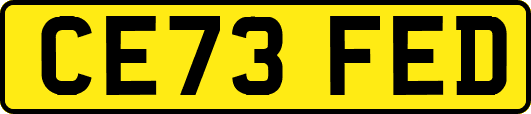 CE73FED