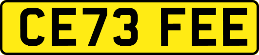 CE73FEE