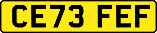 CE73FEF