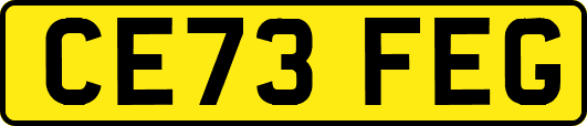 CE73FEG