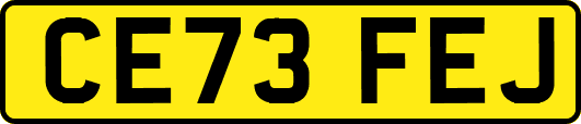 CE73FEJ