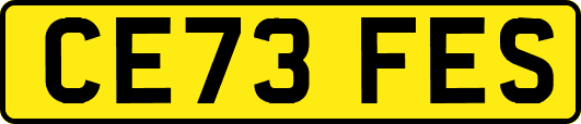 CE73FES