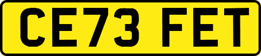 CE73FET