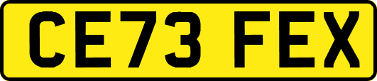 CE73FEX