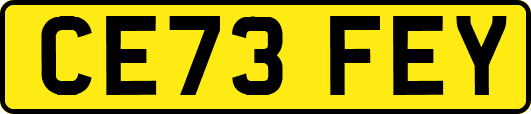 CE73FEY
