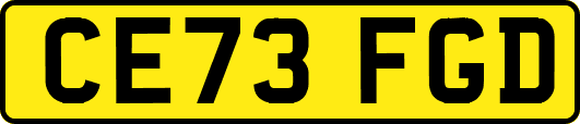 CE73FGD