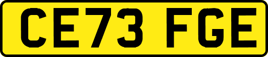 CE73FGE