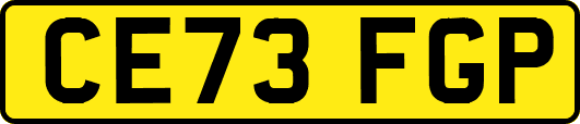 CE73FGP