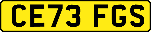 CE73FGS