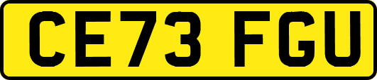 CE73FGU