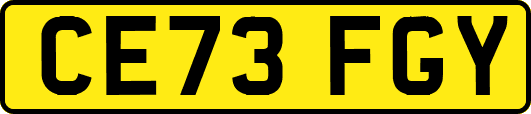 CE73FGY