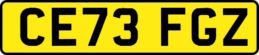 CE73FGZ