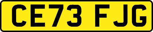 CE73FJG