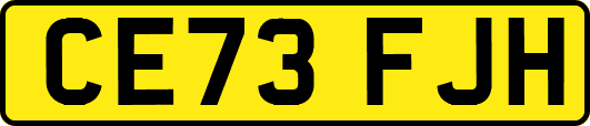 CE73FJH