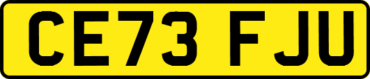 CE73FJU