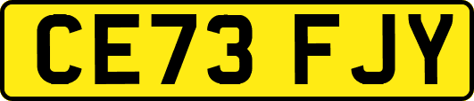CE73FJY