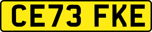CE73FKE
